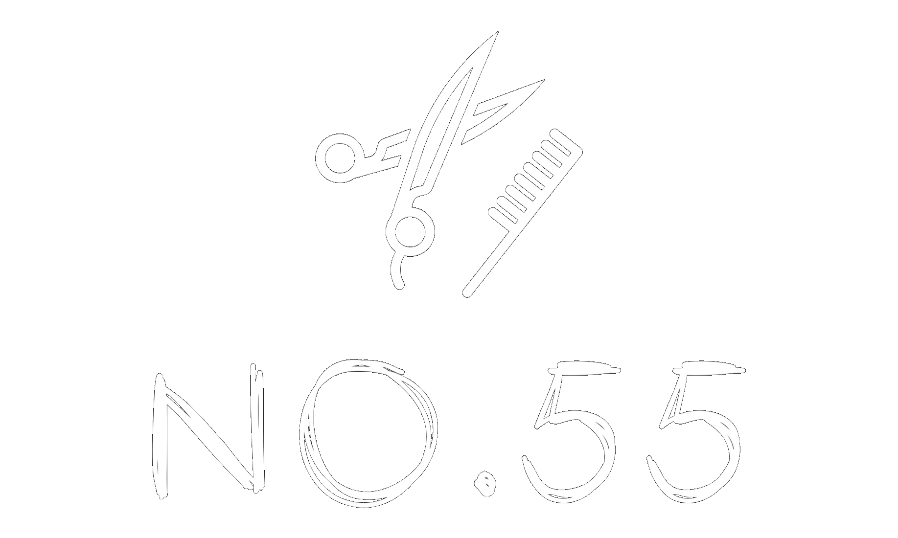 Salon No.55 logo